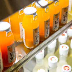 Hotel宇多野京都別墅/提供画像