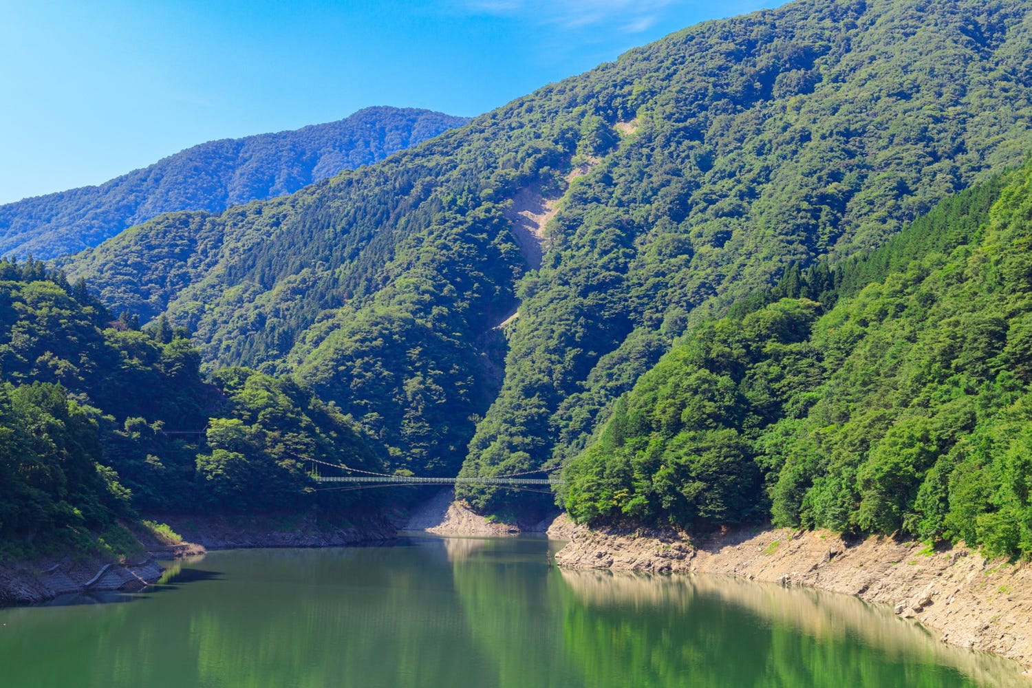 埼玉に”森のリゾート”「秩父別邸 木叢-komura-」プール・サウナ付&ペット可の全8部屋