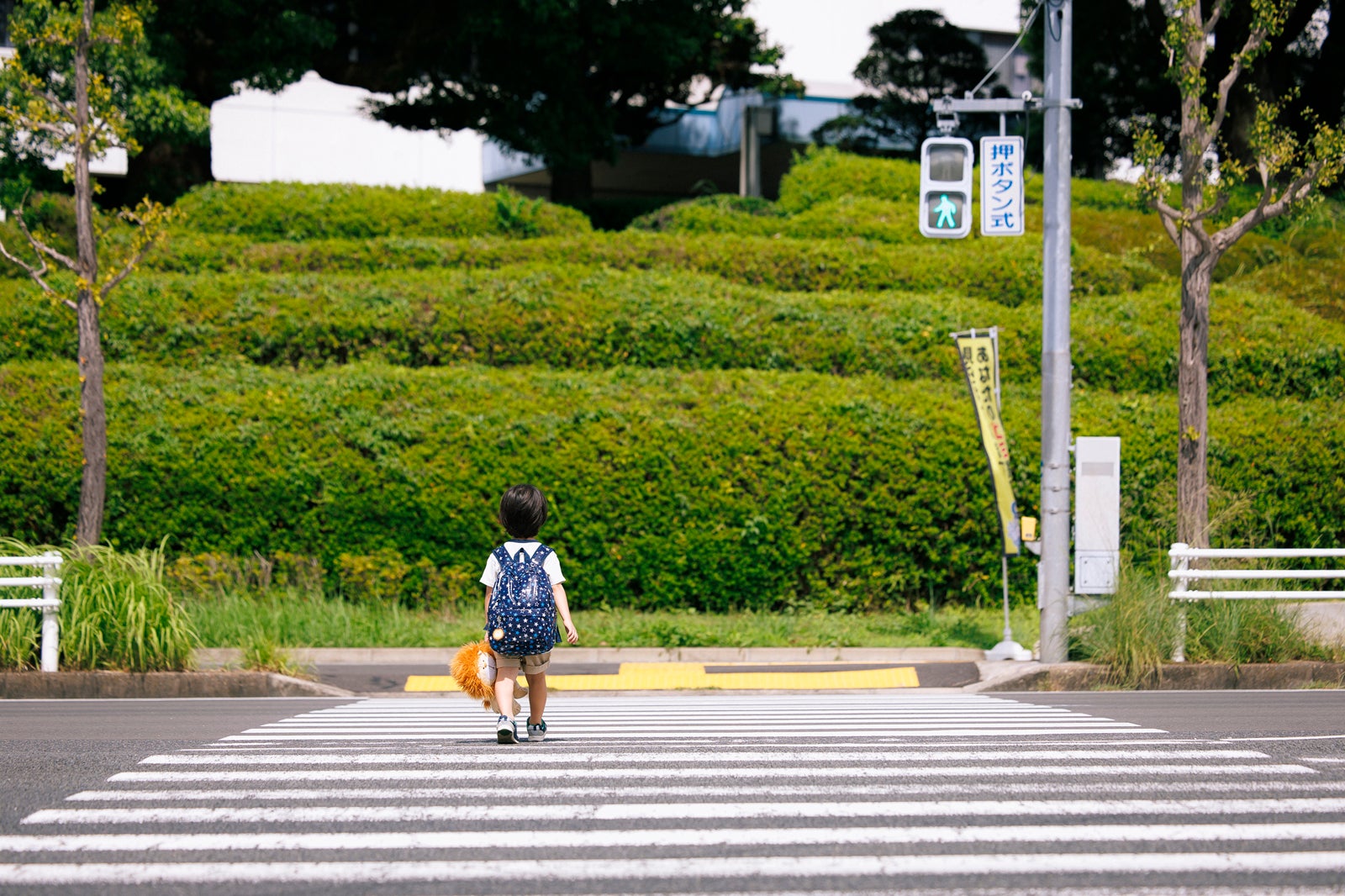 佐藤大空「ライオンの隠れ家」第1話（C）TBS