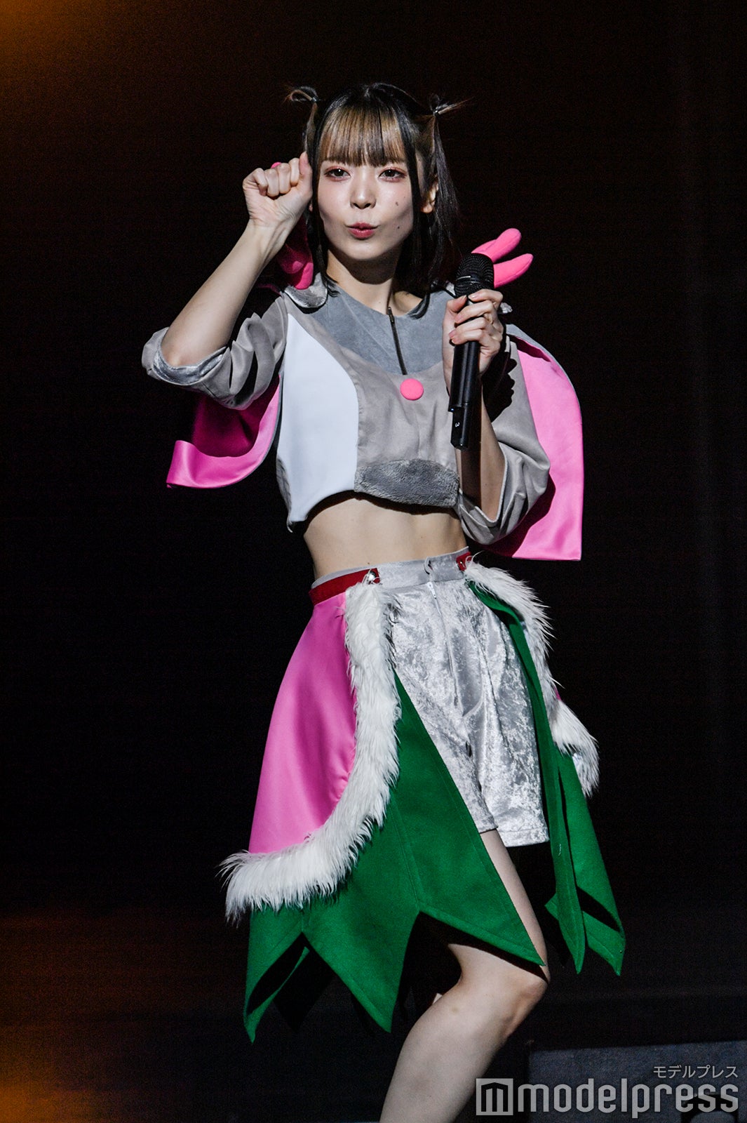 豆柴の大群（C）モデルプレス