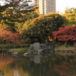 小石川後楽園/Photo by y_uno