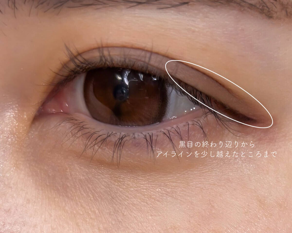 黒目の終わりからアイラインを少し越えるまでをアイシャドウでぼかす範囲