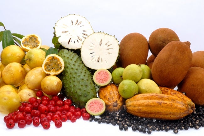 フルッタフルッタのアマゾンフルーツは主にアグロフォレストリーで栽培／画像提供：フルッタフルッタ