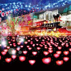 光の花の庭~Flower Fantasy~/画像提供:足利フラワーリゾート