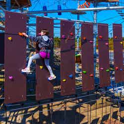 シー・ドラグーン/画像提供:SEアミューズメント