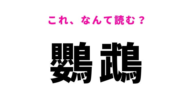 【漢字クイズ】「鸚鵡」はなんて読む？鳥を表す難読漢字！