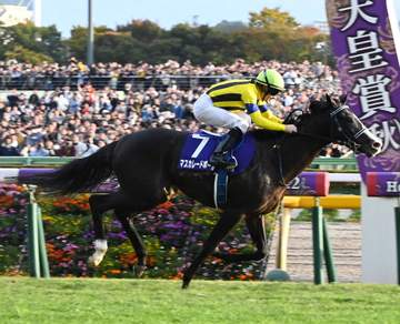 マスカレードボールとヴェルテンベルクがキングジョージ参戦へ マスカレードボールの鞍上はルメール ヴェルテンベルクは現地ジョッキー