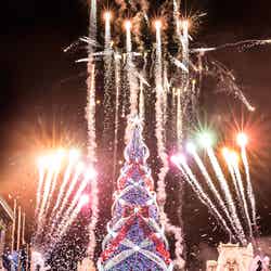 今年最後となる「一生に一度は見たいクリスマスツリー」/画像提供:ユー・エス・ジェイ