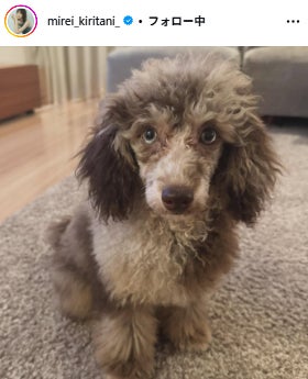 桐谷美玲Instagramより