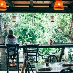 エコツーリズムの聖地、フィリピン・ボホール島へ!