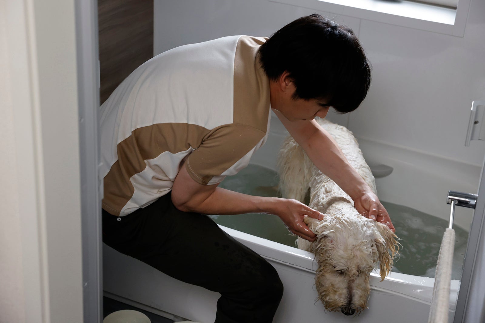 田中圭、ベック（C）2022「ハウ」製作委員会