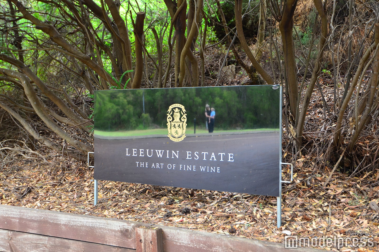 ルーウィン・エステート（C）モデルプレス