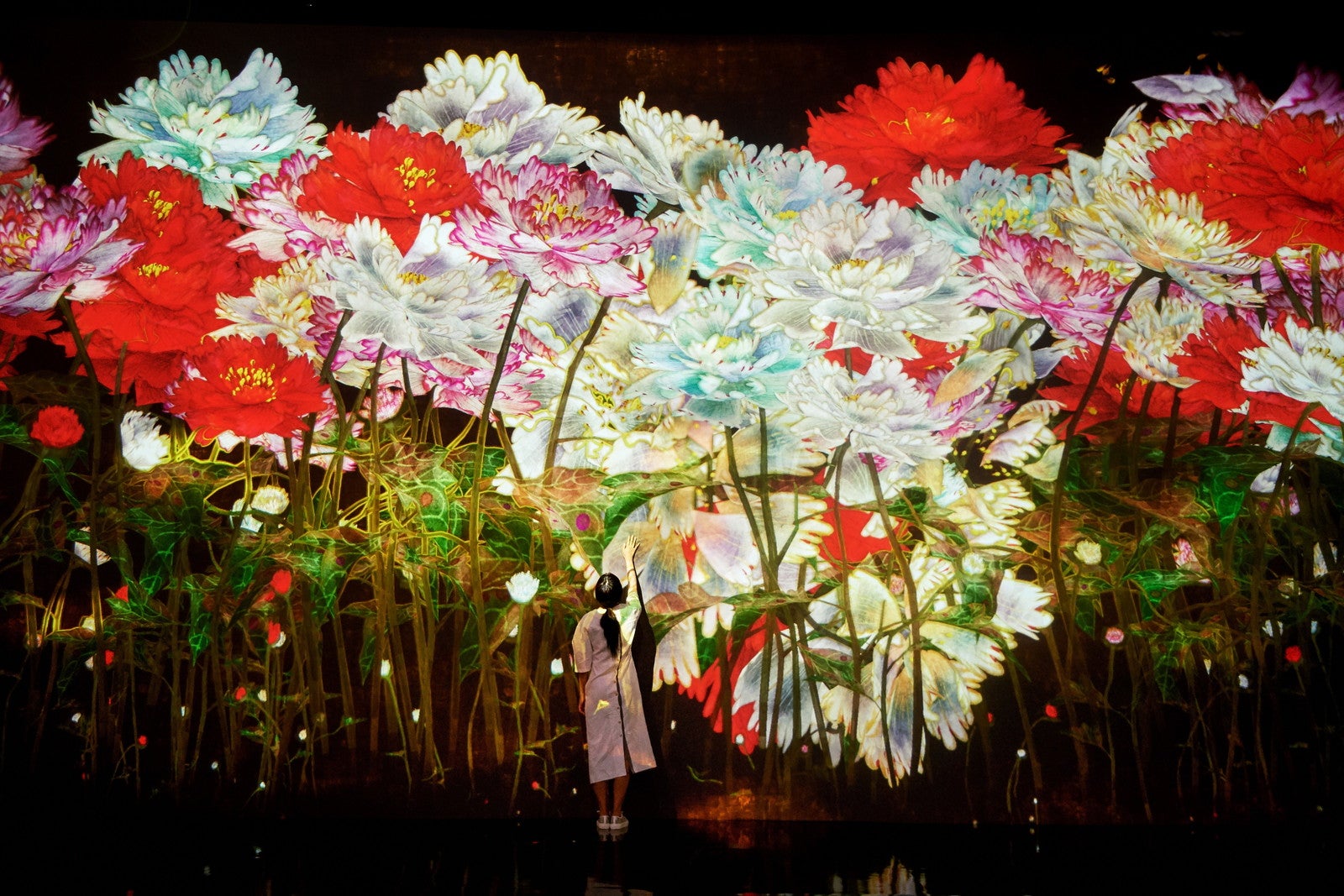 増殖する無量の生命（4月・牡丹）／画像提供：チームラボ