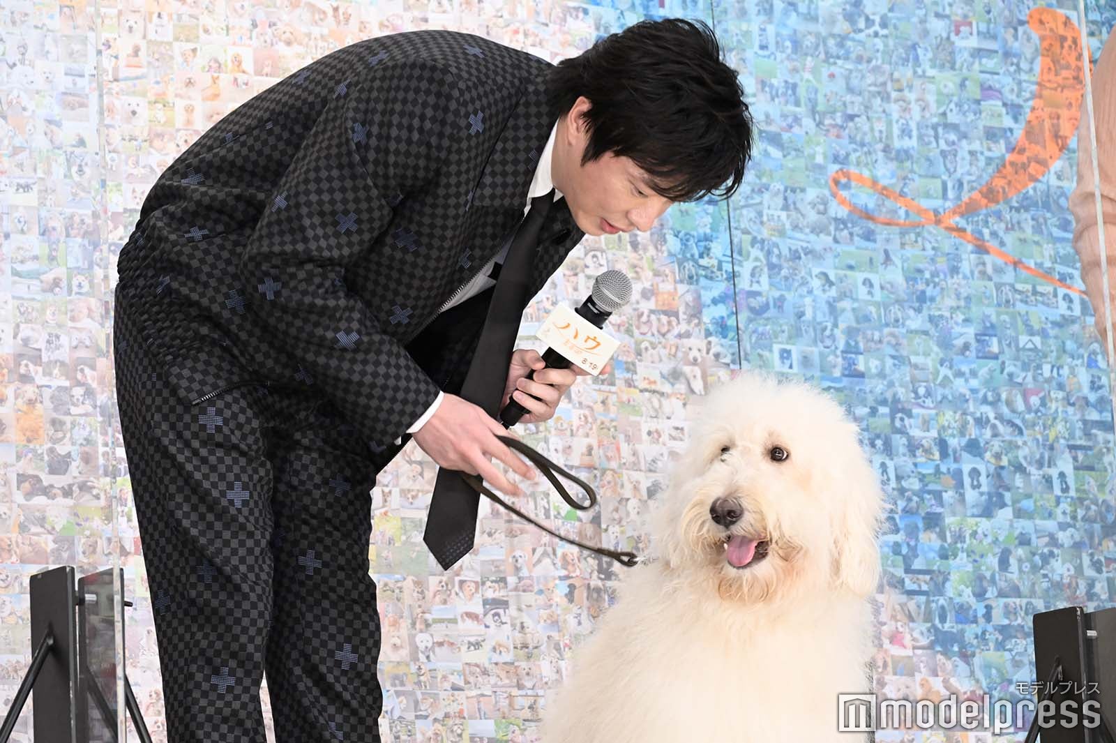 田中圭（C）モデルプレス