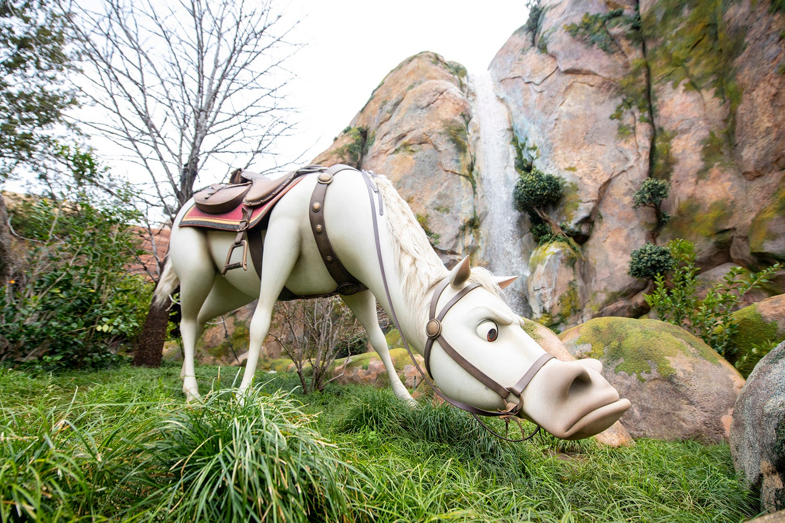 ラプンツェルのランタンフェスティバル（C）Disney