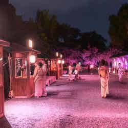 【南門前】南門ライトアップ/屋台エリア/提供画像