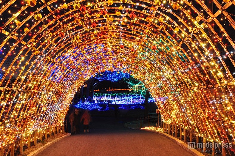 ヒカリのトンネル／画像提供：マザー牧場