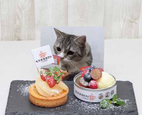 「もちまるカフェ」渋谷に限定オープン “もち様”好物の海老殿パスタやスムージー
