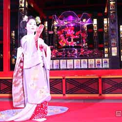 ナイトアクアリウム/画像提供:ECO EDO 日本橋 アートアクアリウム2015~江戸・金魚の涼~&ナイトアクアリウム