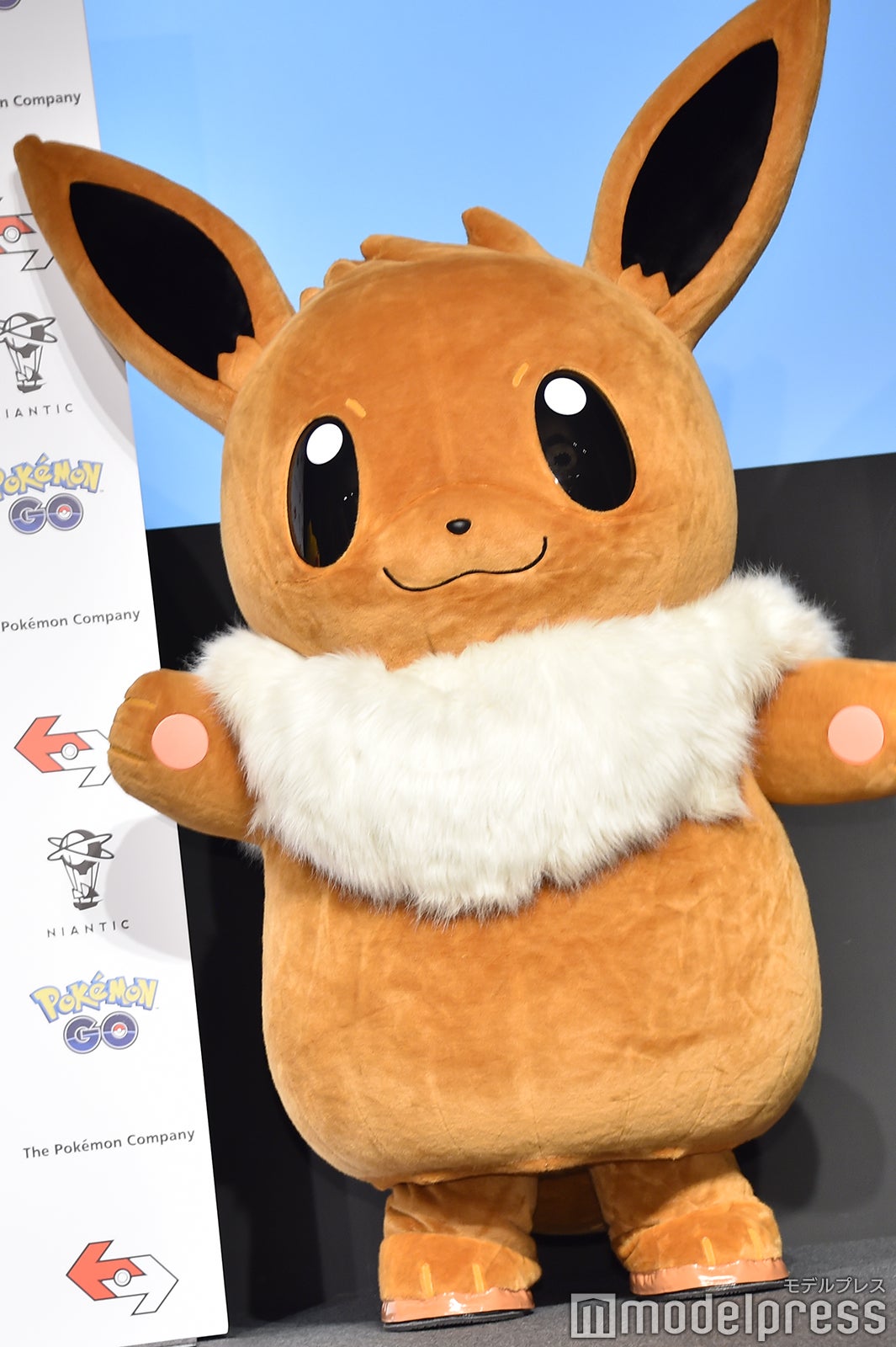 イーブイ（C）モデルプレス