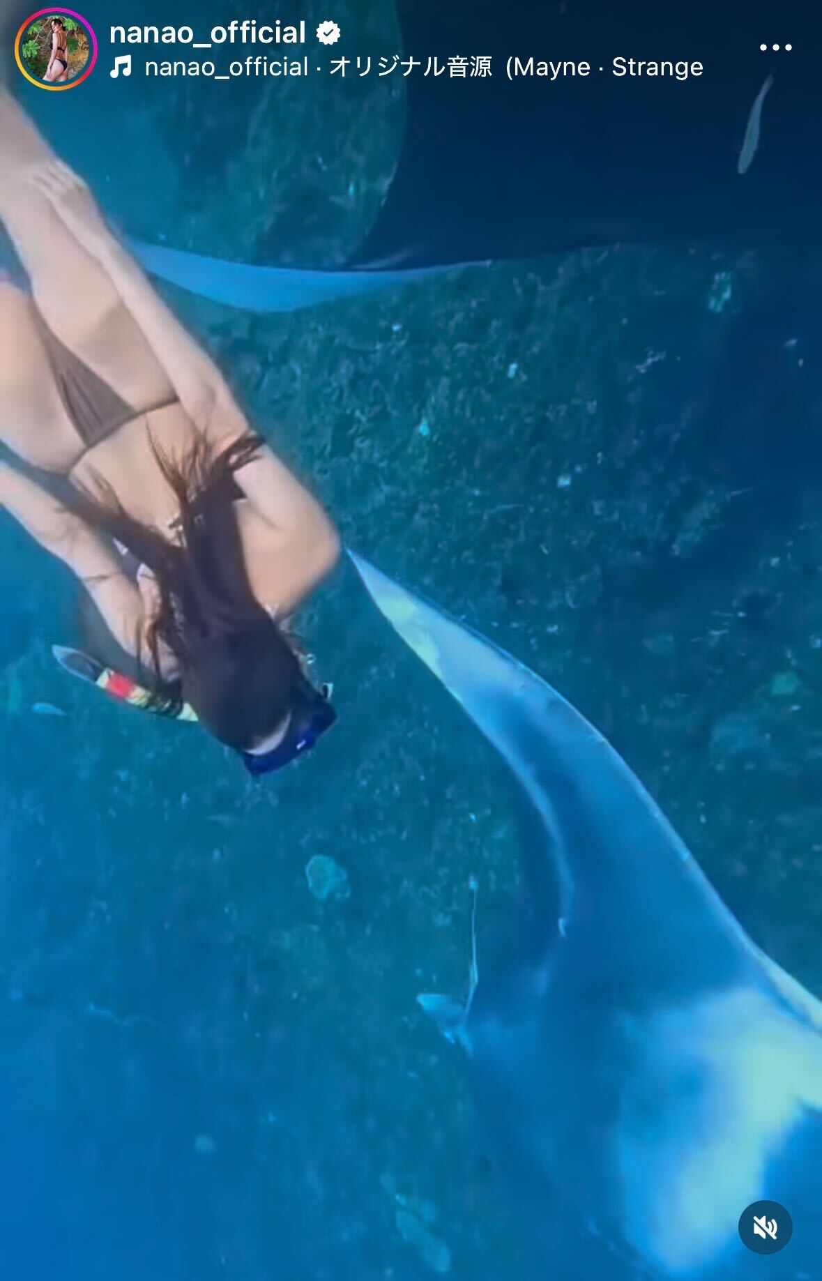 菜々緒Instagramより