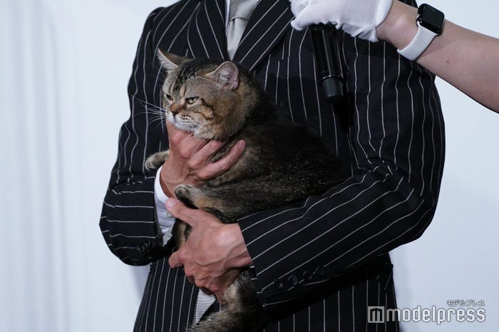 ピート(C)モデルプレス