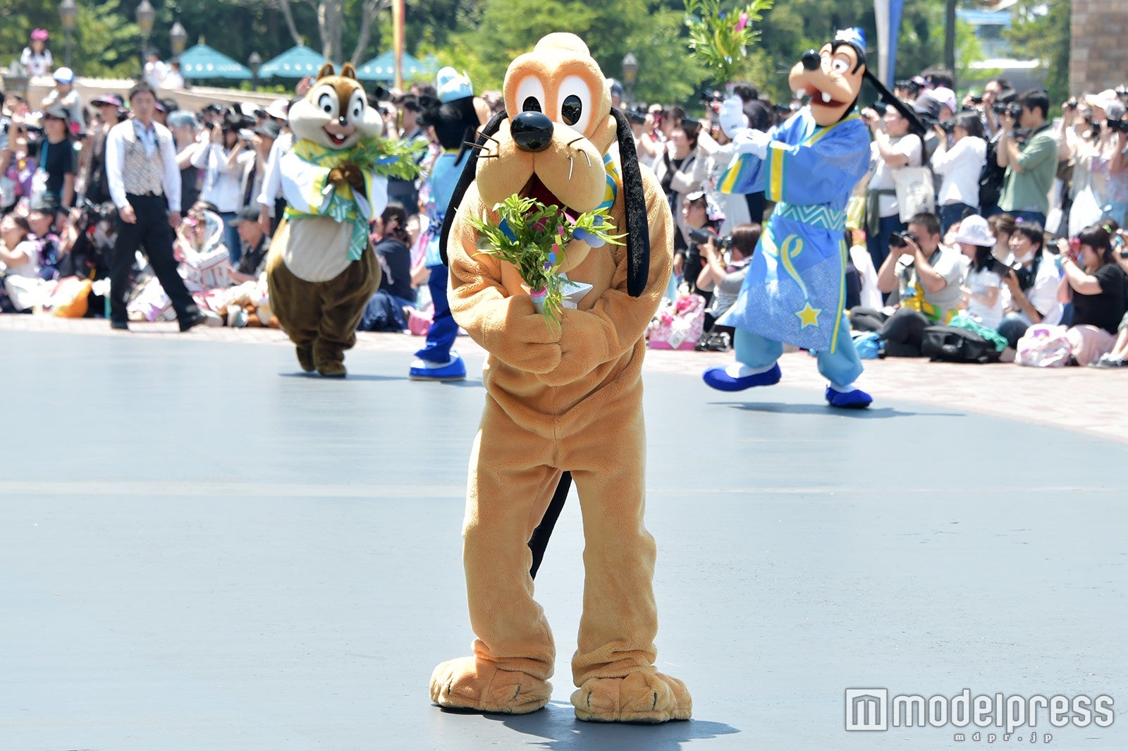 「七夕グリーティング」（C）モデルプレス