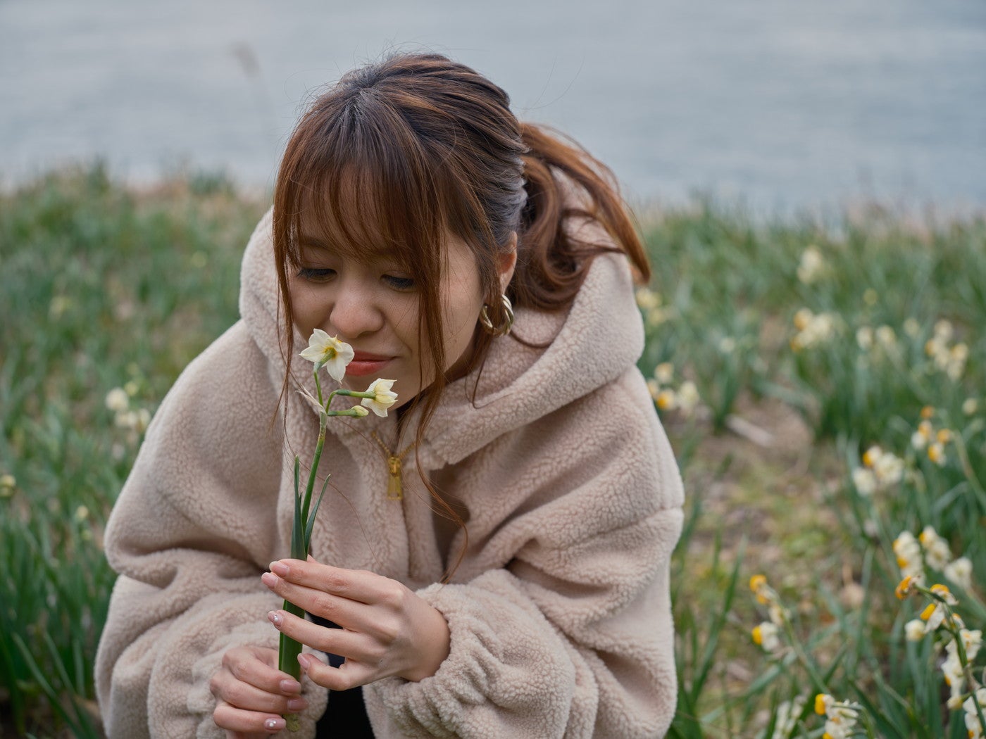 香りが強いことが特徴の越前水仙。甘く爽やかな香りが広がります／提供画像