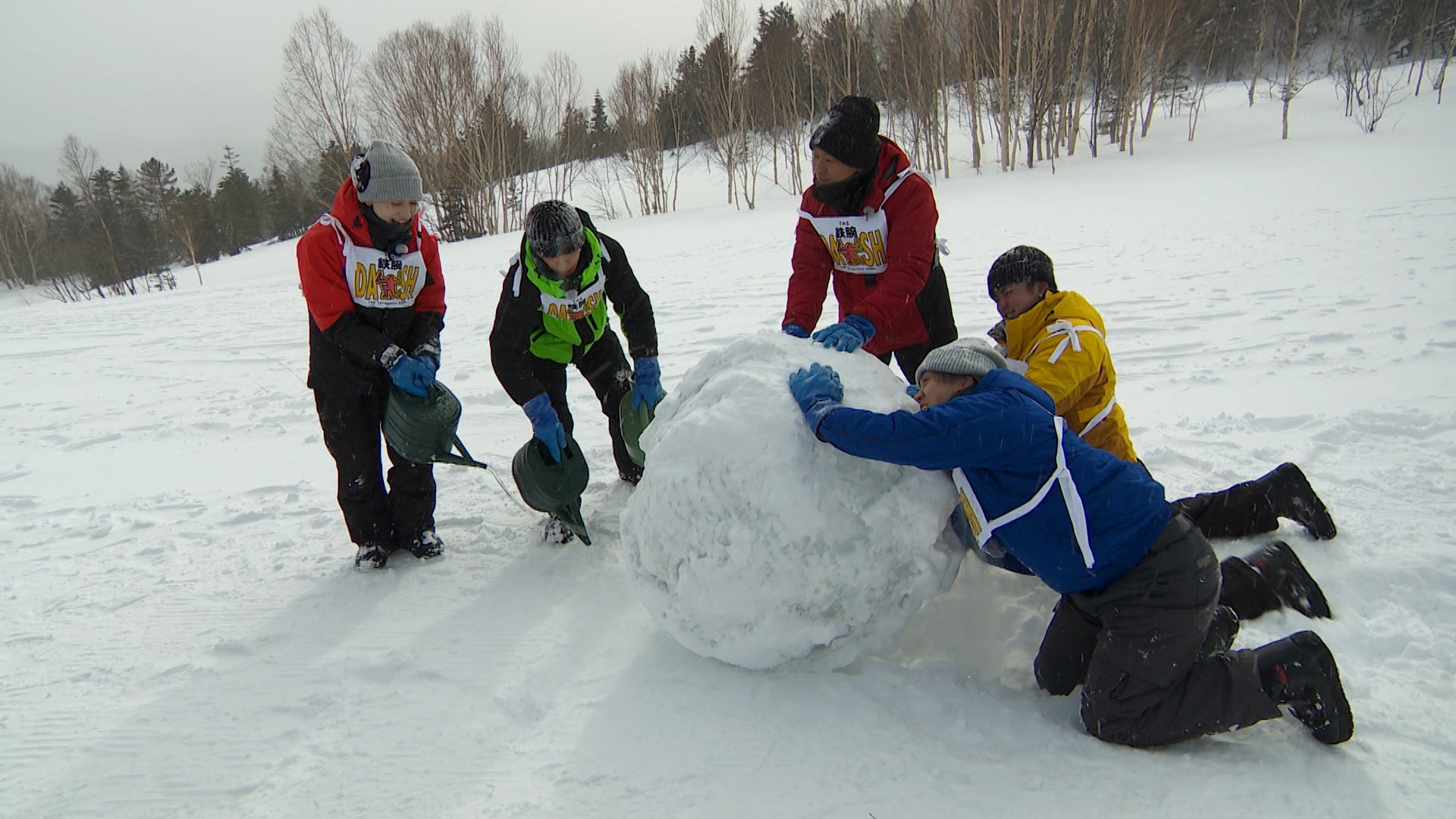 NEWS増田貴久「鉄腕DASH」初参戦 STARTO若手メンバーと巨大雪玉で3km走破なるか