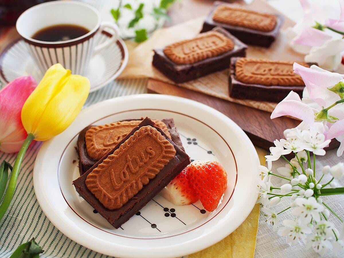 ヘルシーロータスブラウニー ヘルシーロータスブラウニー