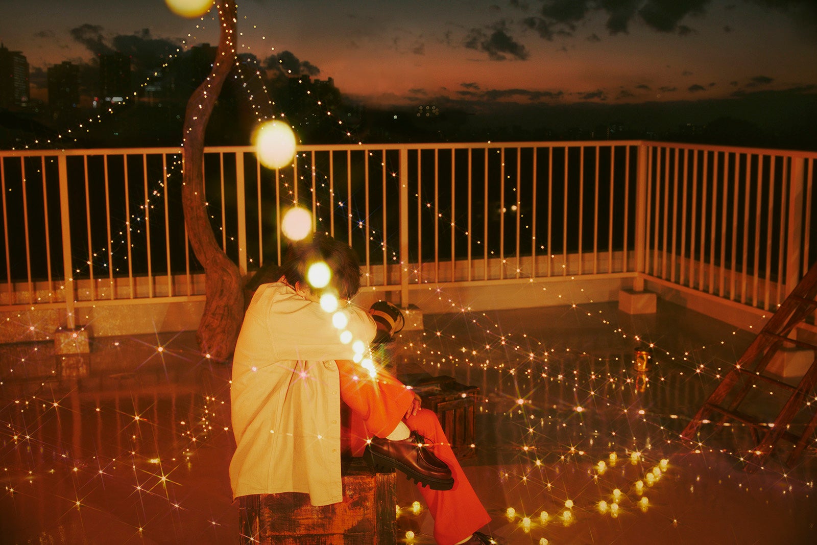 もさを。（提供写真）