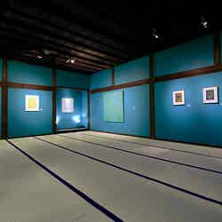 第2展示室/画像提供:フォーエバー現代美術館 祇園・京都