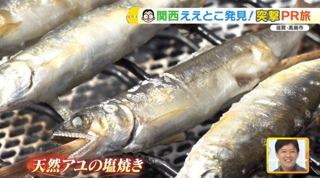 幻の魚にパワースポットも♡