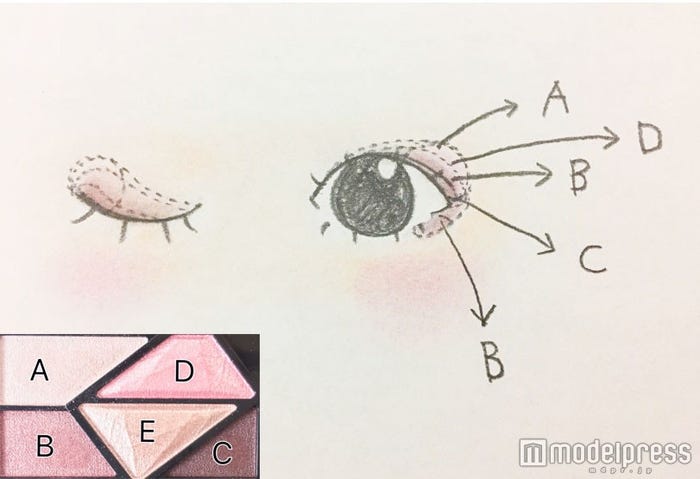 締め色を細く入れるのが◎/イラスト:Cecil Inoue(C)モデルプレス