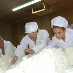 日本酒造りに奮闘する今泉宏美