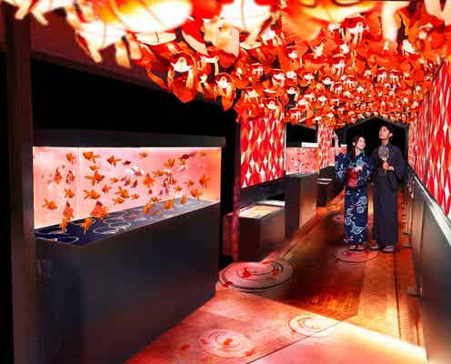 すみだ水族館で金魚1000匹が舞う“金魚ワンダーランド” 艷やかな和の空間で“江戸の夏”を体感