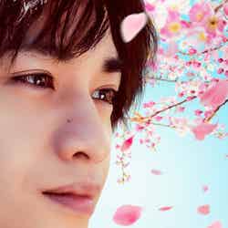 中島健人『桜のような僕の恋人』キャラクターアート（C）Netflix