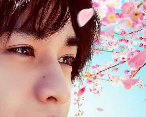 Mr.Children、Sexy Zone中島健人主演「桜のような僕の恋人」主題歌を書き下ろし 本予告映像解禁