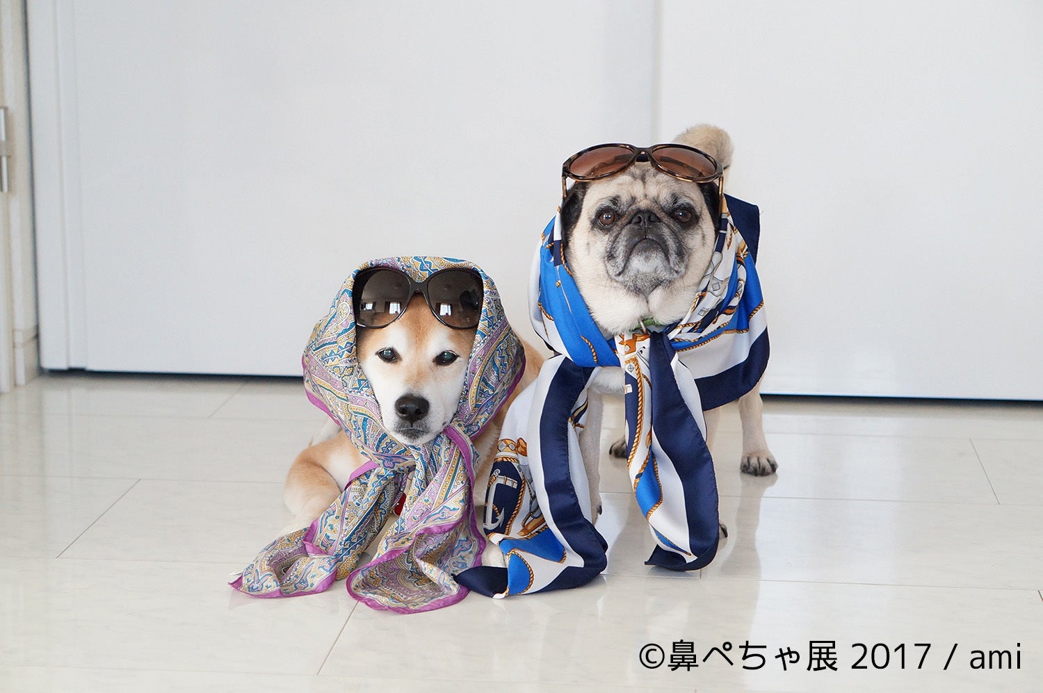 「鼻ぺちゃ展 2017」イメージ／画像提供：BACON