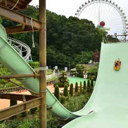 アドベンチャーラグーン/画像提供:東京サマーランド