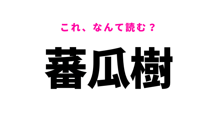 【漢字クイズ】「蕃瓜樹」はなんて読む？オレンジ色の南国フルーツを表す言葉！