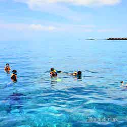 ロブスターピクニック前のシュノーケリング体験(C)モデルプレス