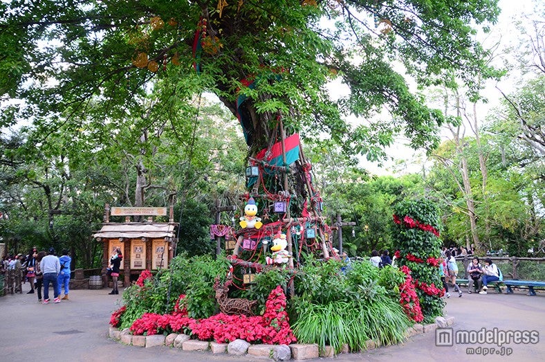 ロストリバーデルタのツリー