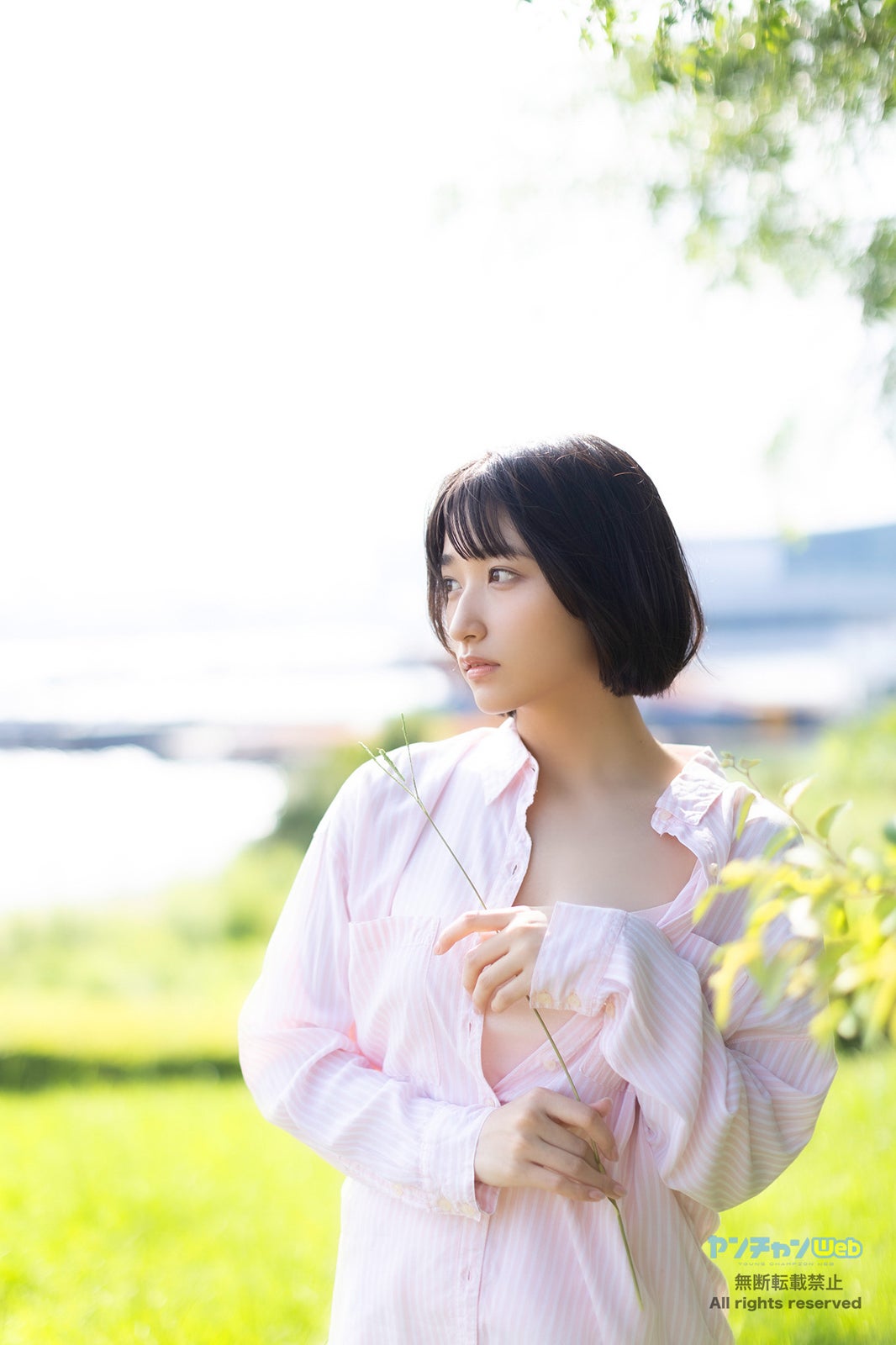 水野瞳（C）西條彰仁（秋田書店）