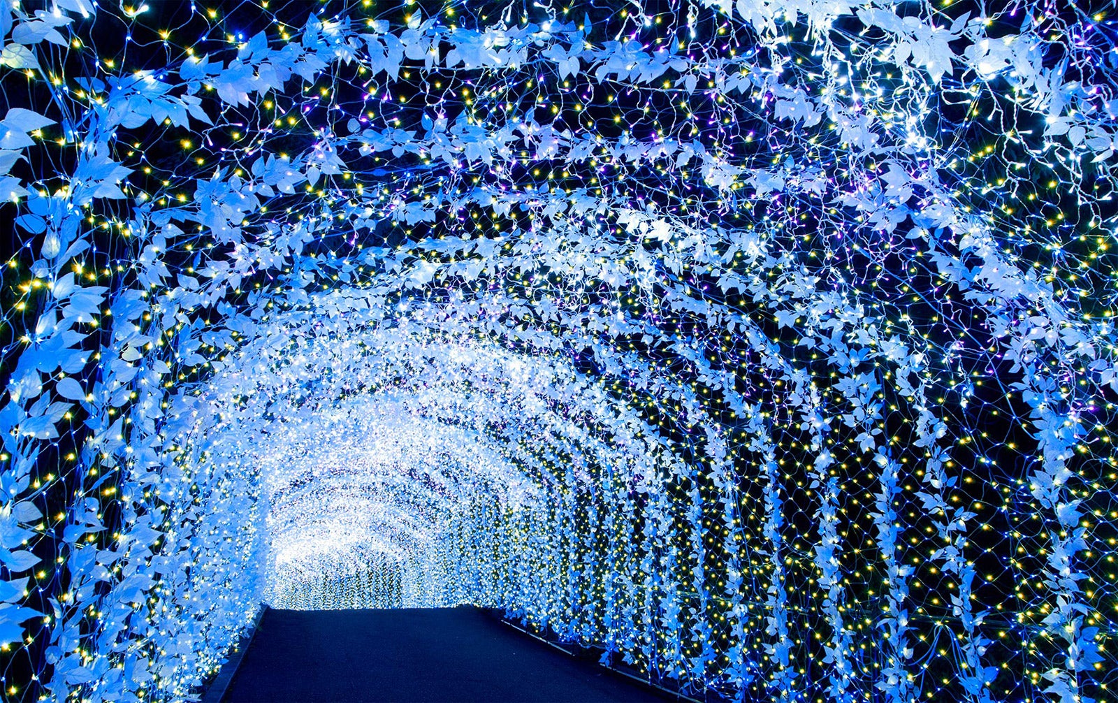 フォレストガーデン ～森の小道～／画像提供：京阪電気鉄道株式会社