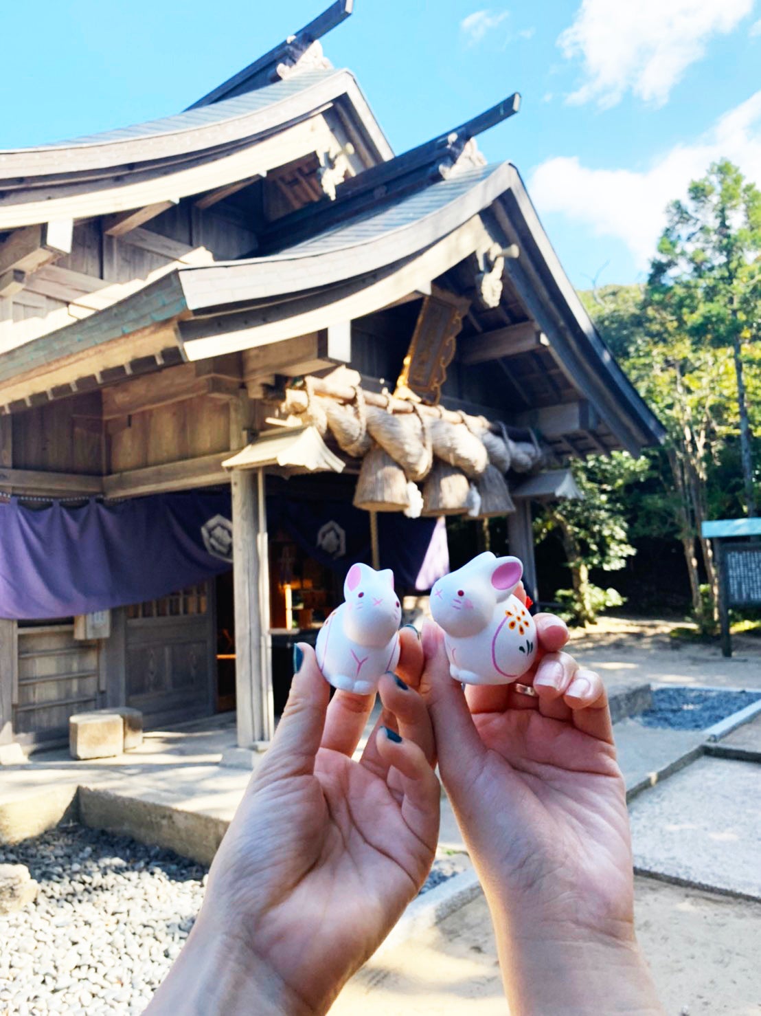 とってもかわいい白うさぎおみくじ／提供画像