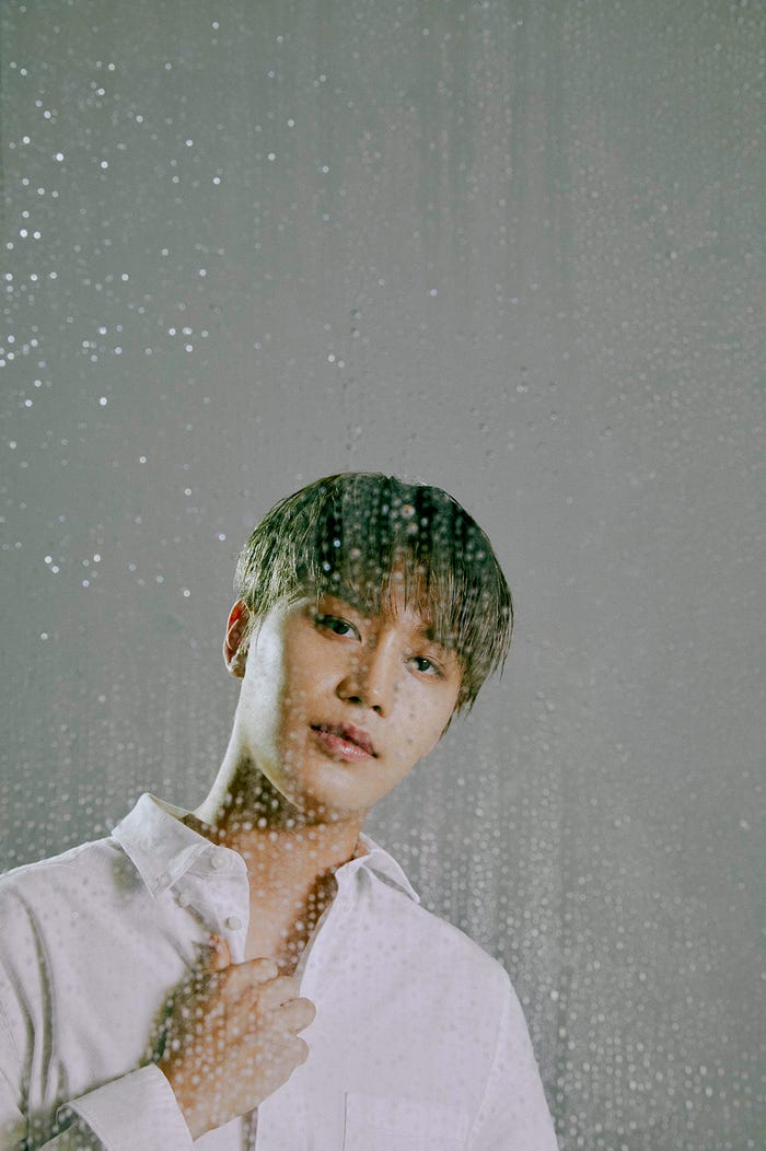 テイル (提供写真)