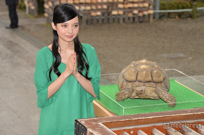 ベッキー／愛亀・ガラパゴスと一緒に参拝