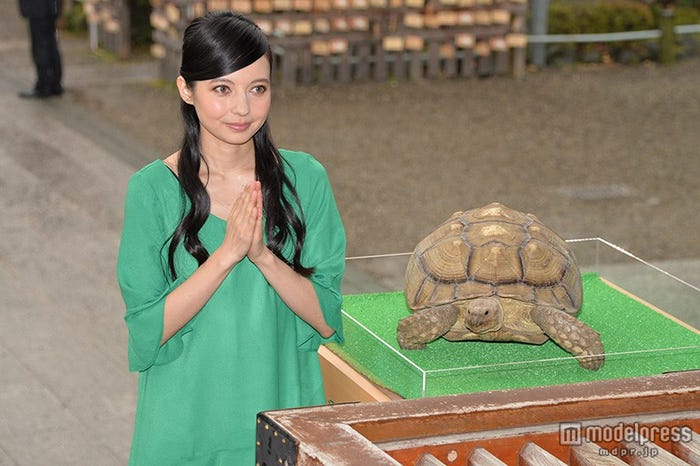 ベッキー/愛亀・ガラパゴスと一緒に参拝