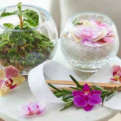 エキゾチックスイーツガーデン/画像提供:ベストホスピタリティーネットワーク